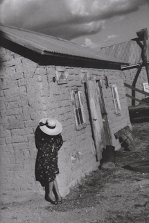 Image for The Mennonites; a biographical sketch The Mennonites; a biographical sketch