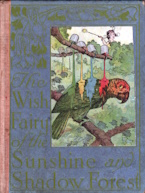 Image for The wish fairy of the sunshine and shadow forest The wish fairy of the sunshine and shadow forest