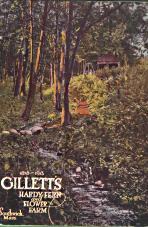 Gillett's hardy fern and flower Farm