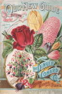 Image for Our new guide : autumn 1895; Dingee and Conard Co Our new guide : autumn 1895; Dingee and Conard Co
