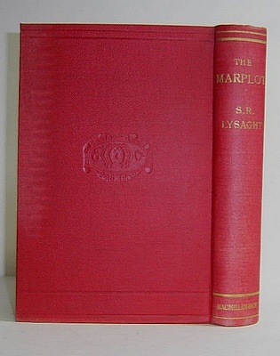 The Marplot (1893)
