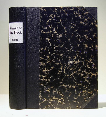 Image for The Flower of the Flock (1900) The Flower of the Flock (1900)