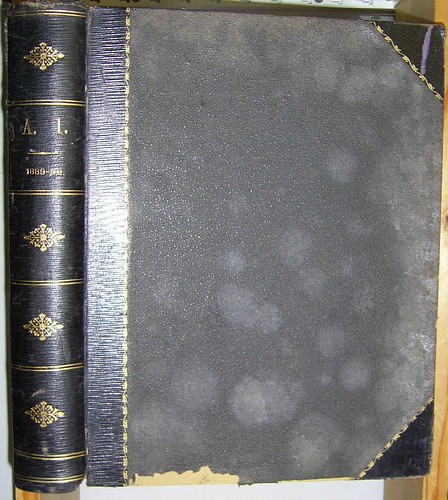 The A1 Annual. A Magazine for Family Reading, Volume 3 [1889 - 90]