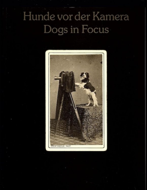 Image for HUNDE VOR DER KAMERA / DOGS IN FOCUS: 150 YEARS OF PHOTOGRAPHY, THE UWE SCHEID COLLECTION HUNDE VOR DER KAMERA / DOGS IN FOCUS: 150 YEARS OF PHOTOGRAPHY, THE UWE SCHEID COLLECTION