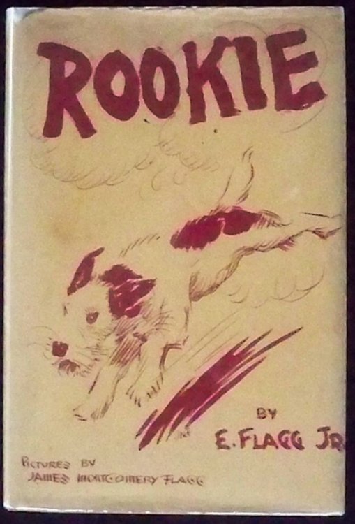 Image for ROOKIE ROOKIE
