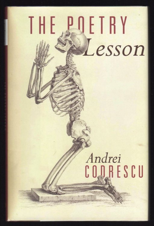 Image for THE POETRY LESSON THE POETRY LESSON