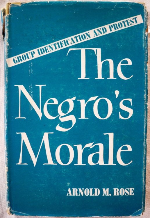 Image for THE NEGRO'S MORALE: GROUP IDENTIFICATION AND PROTEST THE NEGRO'S MORALE: GROUP IDENTIFICATION AND PROTEST