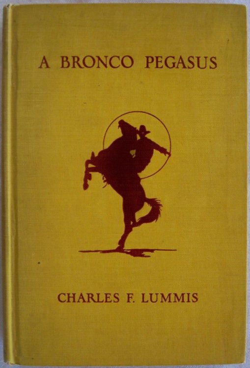 Image for A BRONCO PEGASUS A BRONCO PEGASUS