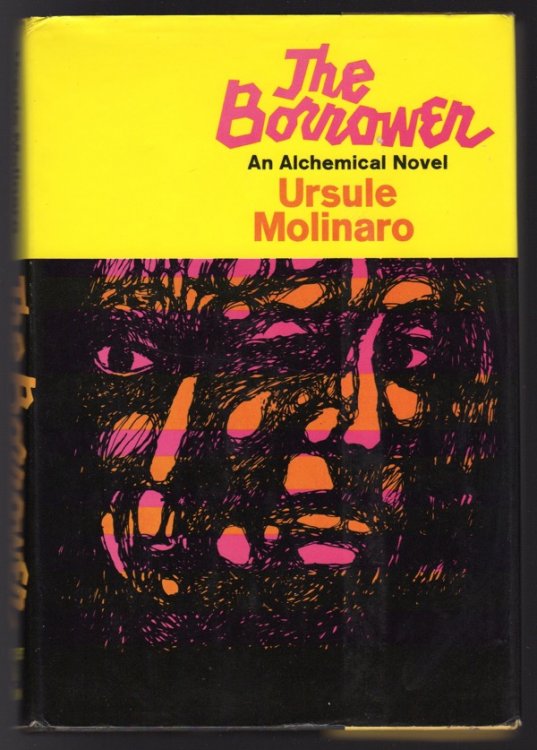 Image for THE BORROWER: AN ALCHEMICAL NOVEL THE BORROWER: AN ALCHEMICAL NOVEL