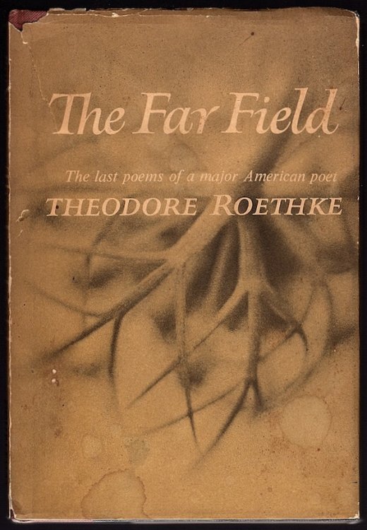 Image for THE FAR FIELD THE FAR FIELD
