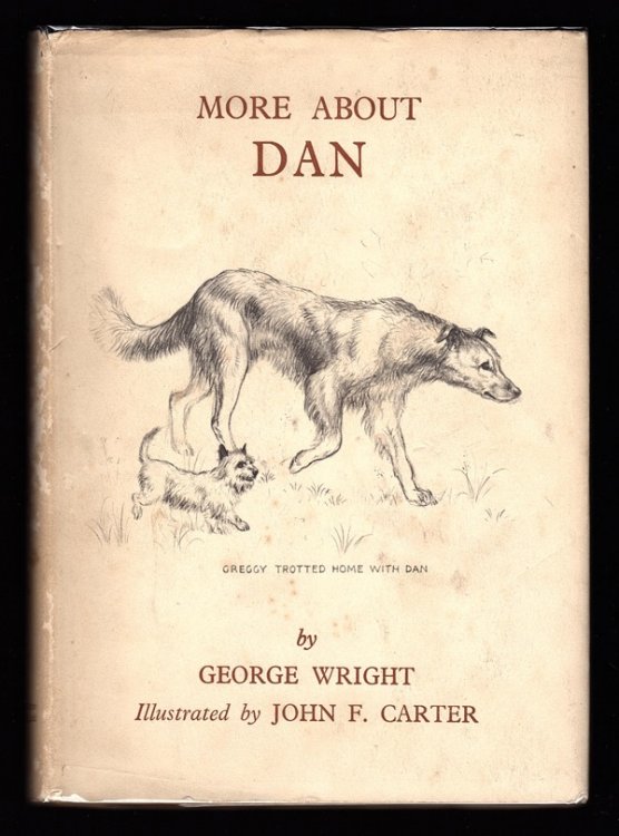 Image for MORE ABOUT DAN MORE ABOUT DAN