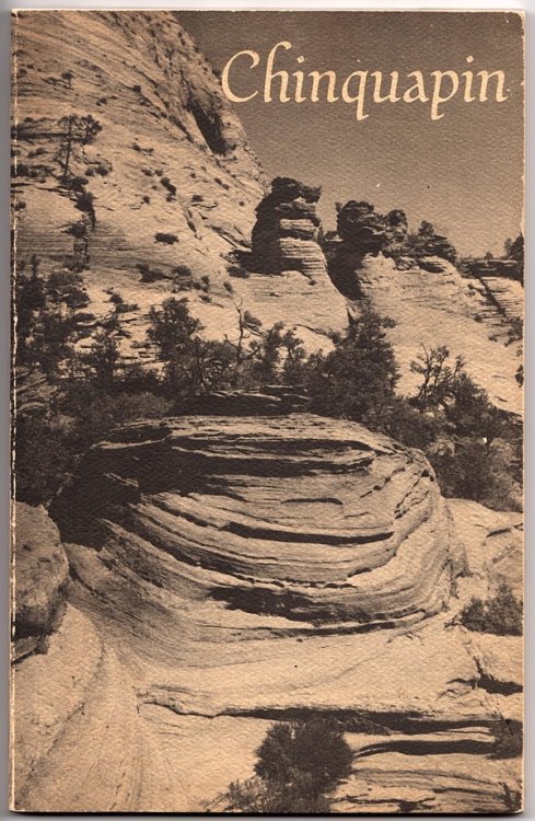 Image for CHINQUAPIN, SPRING 1980, VOL. 1, NO. 1 CHINQUAPIN, SPRING 1980, VOL. 1, NO. 1