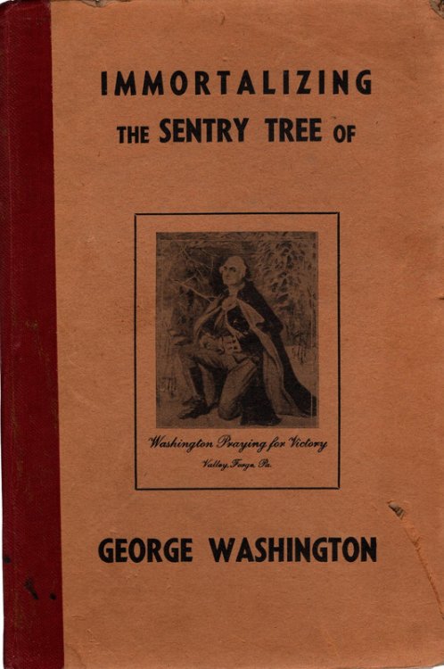 Image for Immortalizing the Sentry Tree of George Washington Immortalizing the Sentry Tree of George Washington