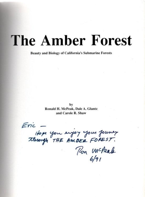 Image for Amber Forest: Beauty and Biology of California's Submarine Forests Amber Forest: Beauty and Biology of California's Submarine Forests