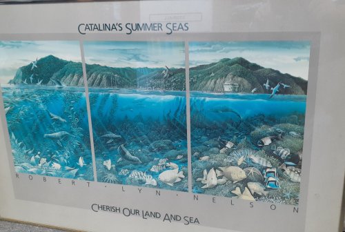Image for CATALINA'S SUMMER SEAS: Cherish Our Land and Seas by Robert Lyn Nelson FRAMED PRINT 1987 CATALINA'S SUMMER SEAS: Cherish Our Land and Seas by Robert Lyn Nelson FRAMED PRINT 1987