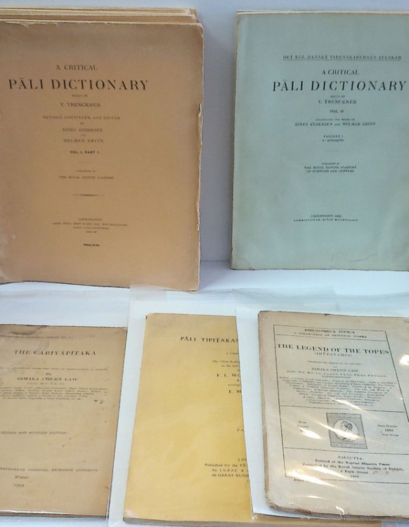Image for COLLECTION OF PALI LANGUAGE RESOURCES COLLECTION OF PALI LANGUAGE RESOURCES
