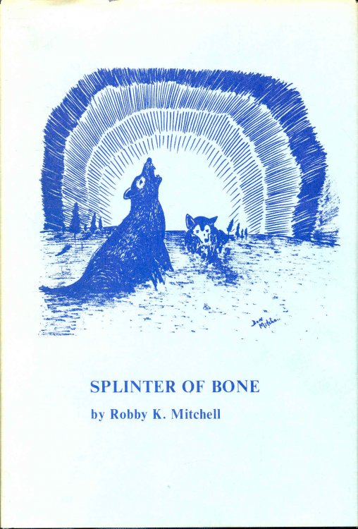 Splinter of Bone