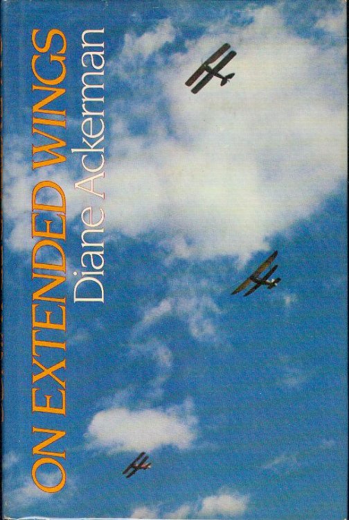Image for On Extended Wings On Extended Wings