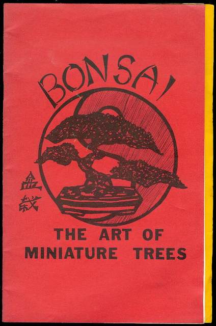 Bonsai: The Art of Miniature Trees