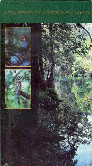 Image for At a Bend in a Mexican River At a Bend in a Mexican River