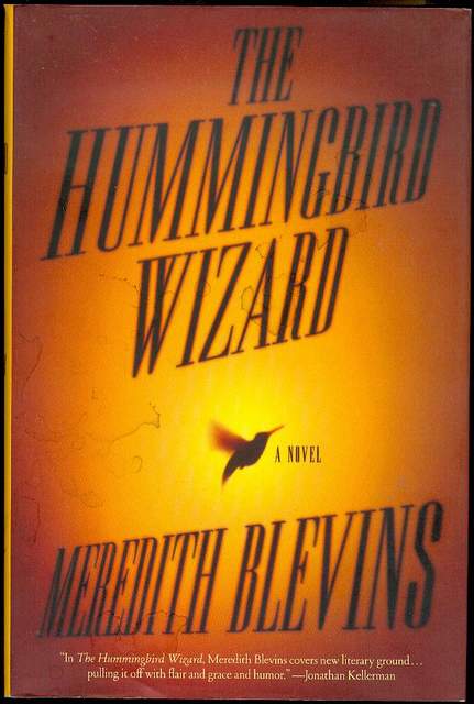 The Hummingbird Wizard