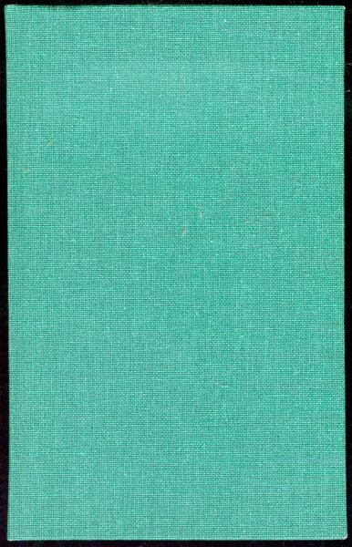 Lichter in Menlo Park (DuMont Lyrik) (German Edition)