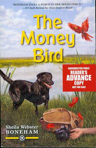 The Money Bird