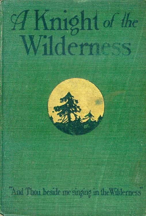 Image for A Knight of the Wilderness A Knight of the Wilderness