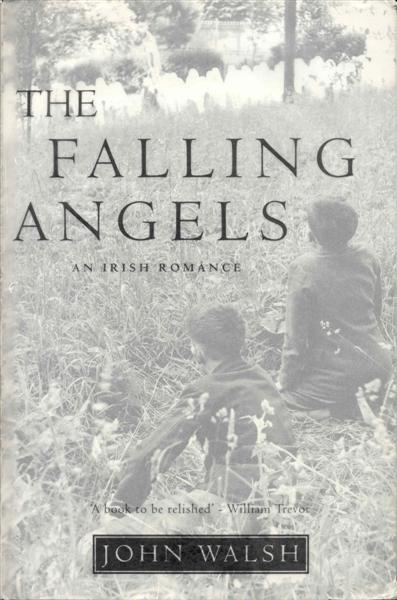 Image for The Falling Angels The Falling Angels