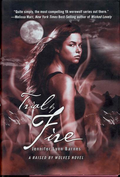 Image for Trial by Fire Trial by Fire