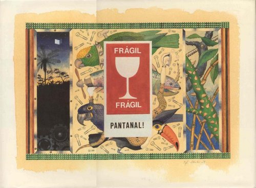 Image for PANTANAL FRAGIL PANTANAL FRAGIL
