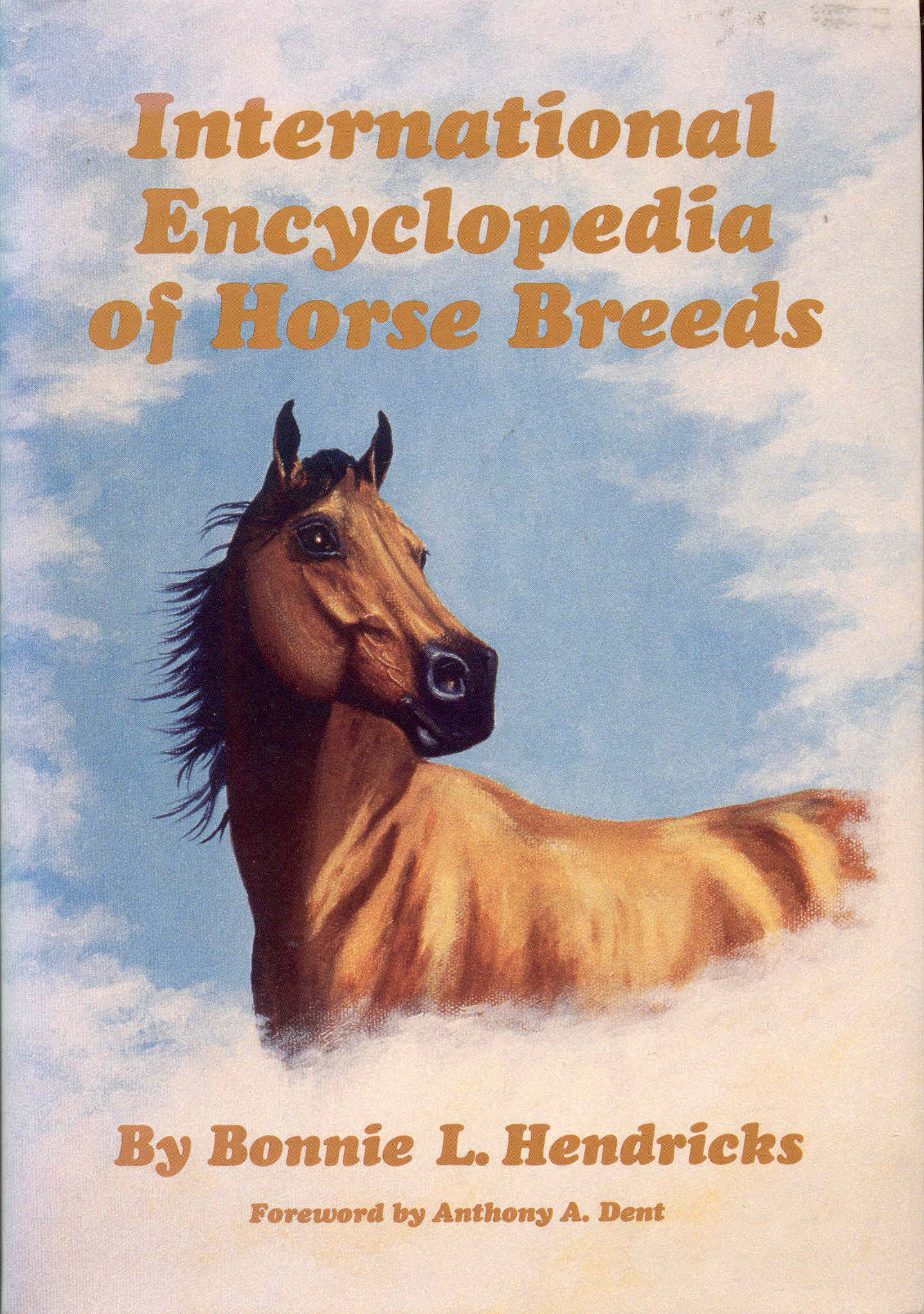 Image for International Encyclopedia of Horse Breeds International Encyclopedia of Horse Breeds