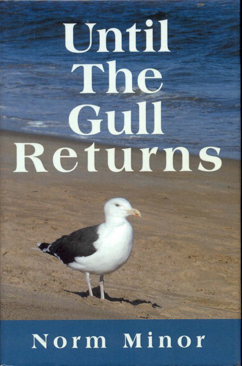 Image for Until The Gull Returns Until The Gull Returns