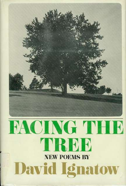 Facing the Tree