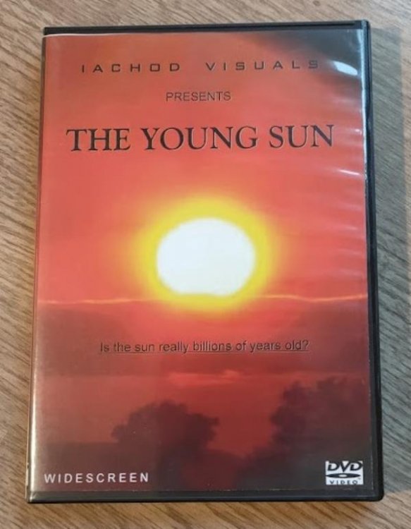 Image for The Young Sun The Young Sun