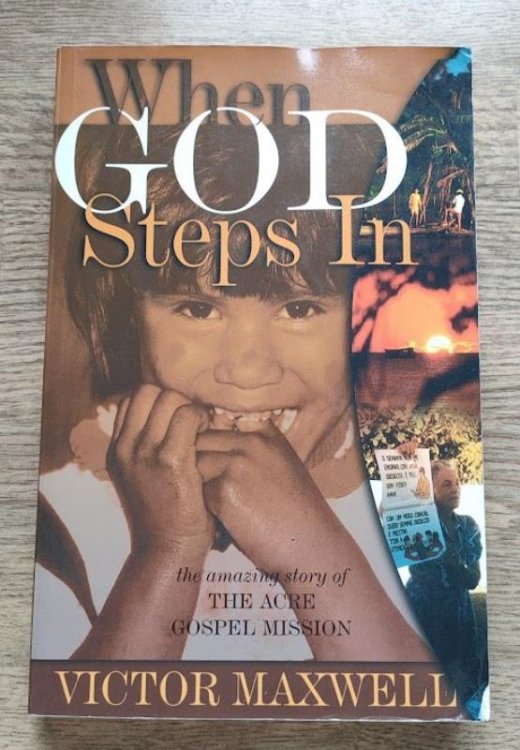 Image for When God Steps In: The Amazing Story of the Acre Gospel Mission When God Steps In: The Amazing Story of the Acre Gospel Mission
