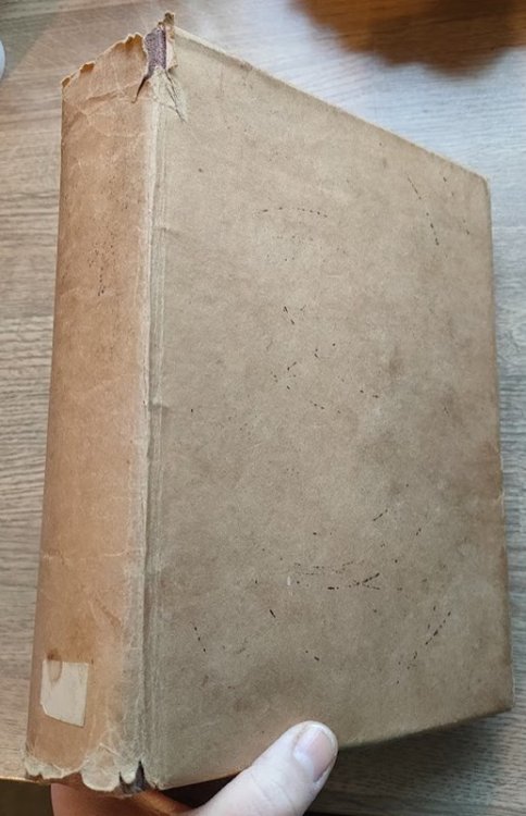 Image for Young Protestants: Vol 11- 14: 1906-1909 Young Protestants: Vol 11- 14: 1906-1909