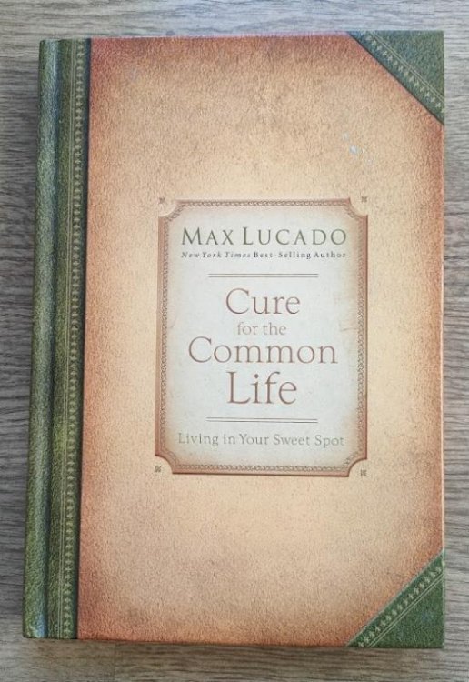 Image for Cure for the Common Life: Living in Your Sweet Spot Cure for the Common Life: Living in Your Sweet Spot