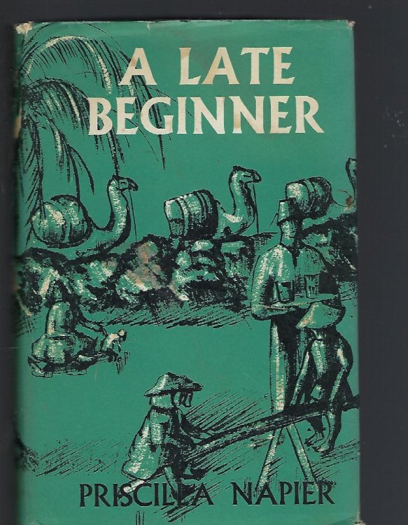 Image for A Late Beginner A Late Beginner