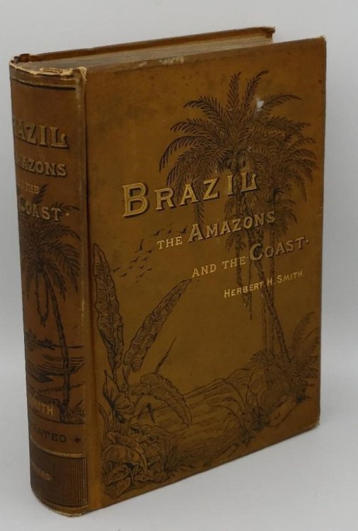 Image for BRAZIL: THE AMAZONS AND THE COAST BRAZIL: THE AMAZONS AND THE COAST