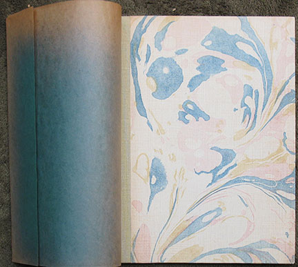 Image for California and the Gold Mania. Illustrated with Sketches from California and the Gold Mania. Illustrated with Sketches from