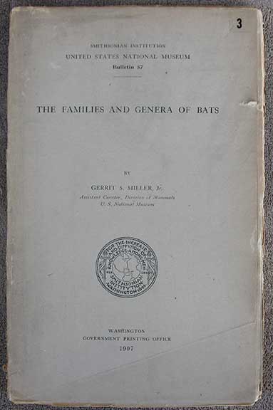 Image for The Families and Genera of Bats. The Families and Genera of Bats.