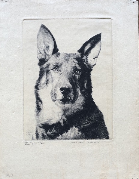 Image for Rin Tin Tin. Rin Tin Tin.