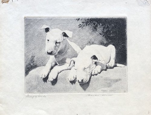 Image for Sleepy Heads. Sleepy Heads.