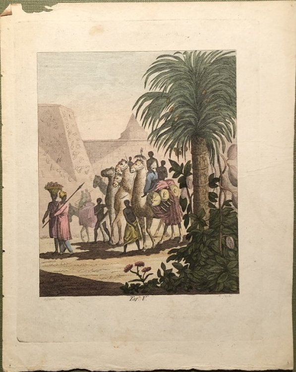 Image for Karavanen in der Sahara. Karavanen in der Sahara.