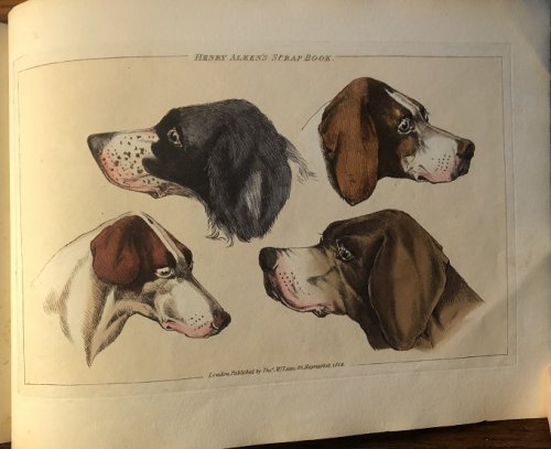 Image for The Sporting Scrap Book. Thirty Coloured Plates. The Sporting Scrap Book. Thirty Coloured Plates.