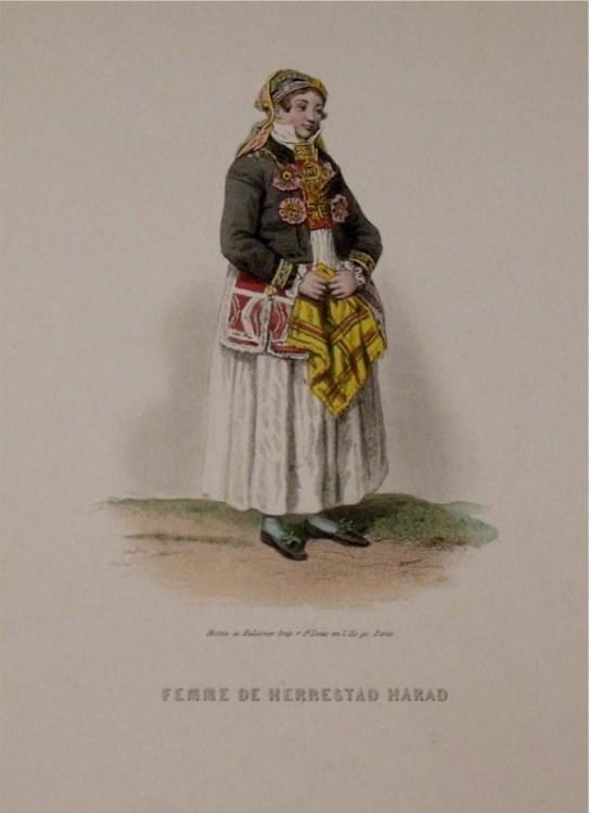 Attractive original engraving of Femme de Herrestad Harad. Woman from Herrestad Harad.
