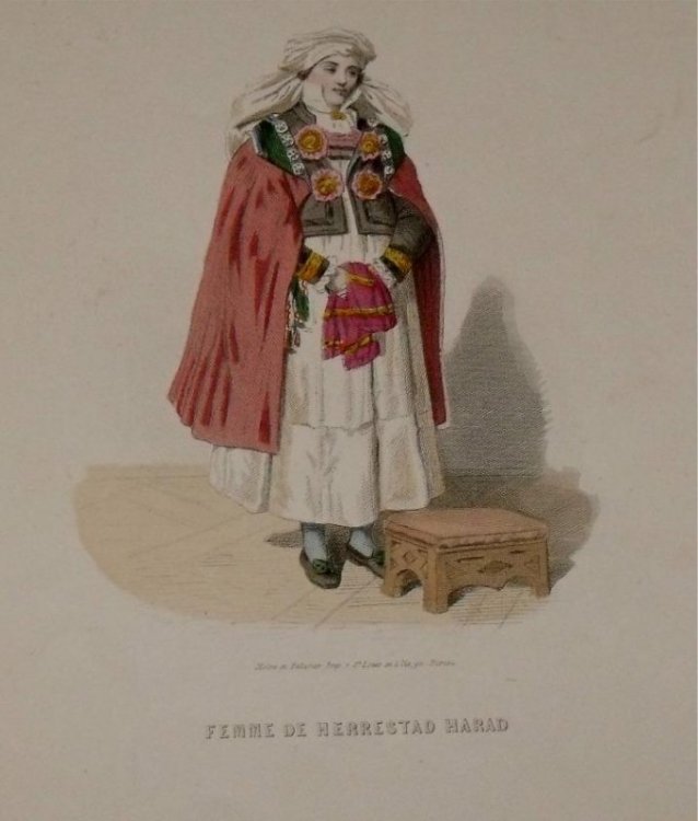 Attractive original engraving of Femme de Herrestad Harad. Woman from Herrestad Harad.