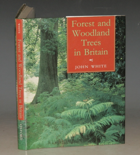 Forest and Woodland Trees in Britain. Westonburt Arboretum, Tetbury, Gloucestershire.