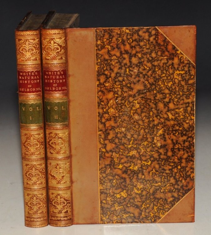 The Natural History of Selborne. To which are added, The Naturalist&rsquo;s Calendar, Miscellaneous Observations, and Poems. A New Edition, With Engravings. In Two Volumes.